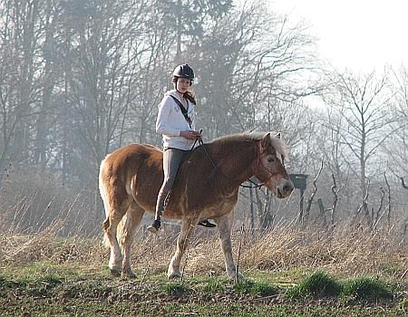 Horse Rider near Boelingen photo 32DT-Reiterin_NW_Boelingen_zps36b1d319.jpg