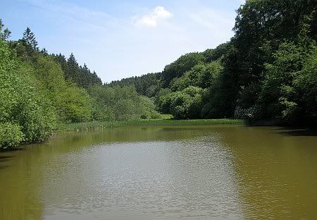 Lake Stahlbuschseifen
