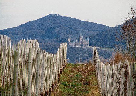 View to Dragon Castle photo 14-Blick_R_Drachenburg_zpsc3337e6f.jpg