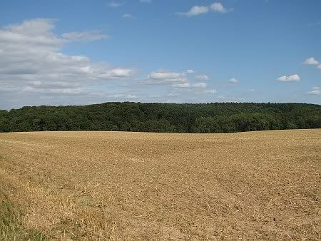 Landscape near Theresienhof
