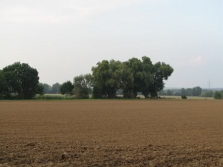 Landscape west of Meckenheim