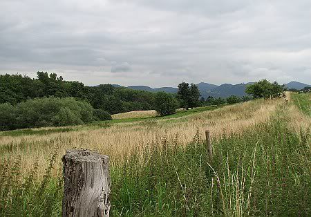 Landscape near Liessem