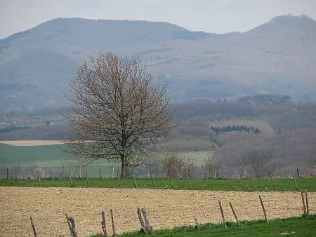 Landscape north of Werthhoven