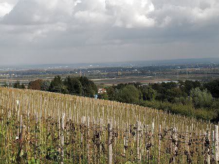 Rhine Valley west of Roisdorf