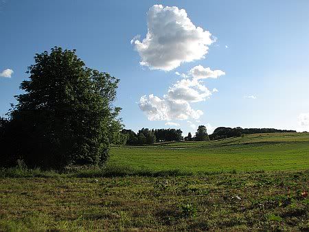 Landscape near Brenig