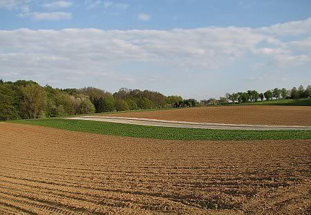 Landscape near Brenig