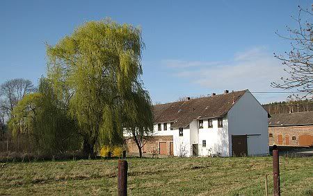 Swisterhof