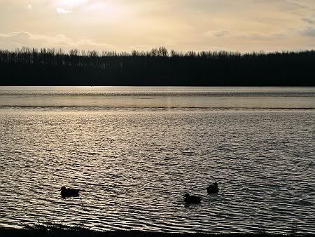 Bleibtreu Lake