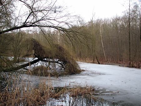 Kiersberger Lake