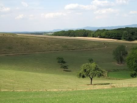 Landscape south of Goennerdorf