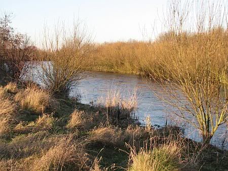 River Rur near Merken