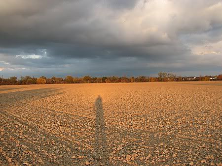 Evening Sun near  Derichsweiler