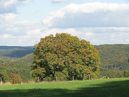 Landscape near Baleroth