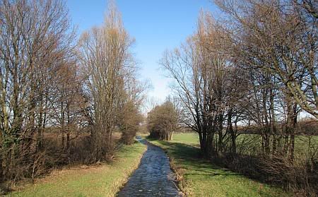 View to River Erft near Derkum