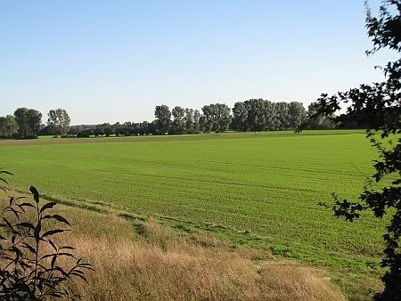 Erft Floodplain Quadrat-Ichendorf