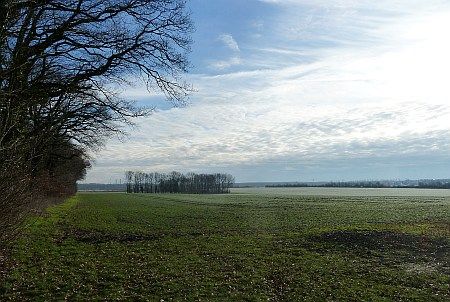 Fields near Habbelrath