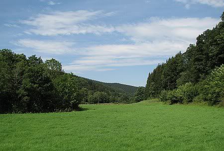 Landscape near Hollerath