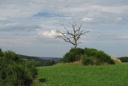 Landscape near Hoenningen