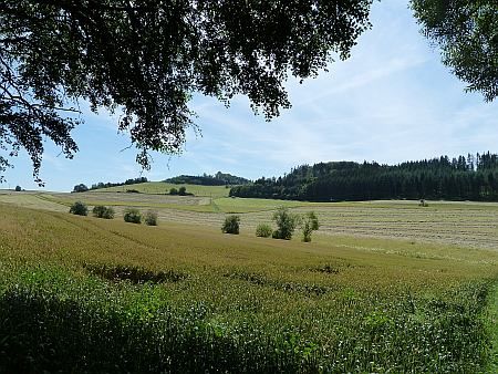 Landscape near Lammersdorf