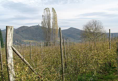 Siebengebirge s&uuml;dlich Lannesberg
