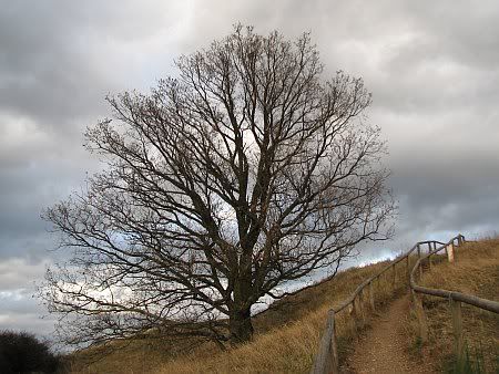 At Rodderberg