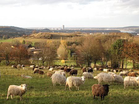 At Rodderberg