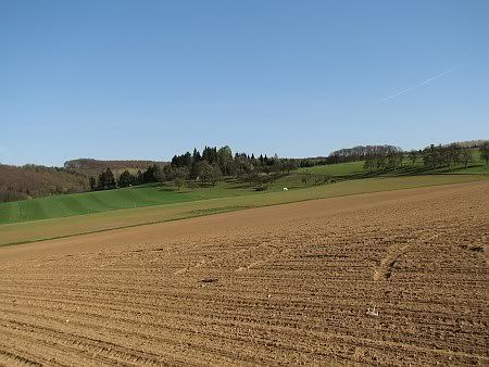 Landscape near Oberbachem