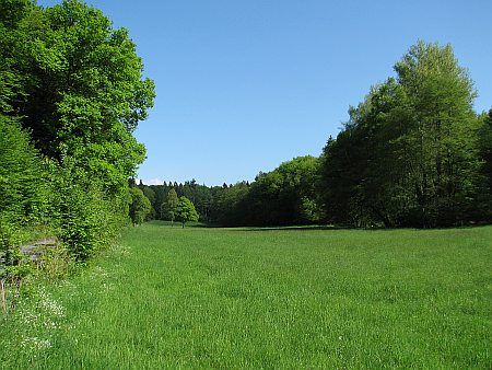 Logebachtal photo 38-Logebachtal_zpsb0f1101b.jpg