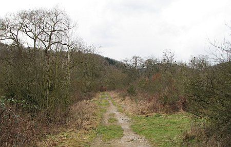 Ahr Path near Bad Bodendorf