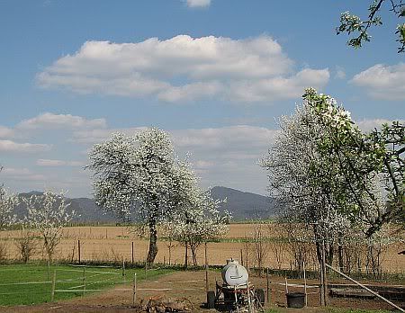 Landscape south of Lannesdorf