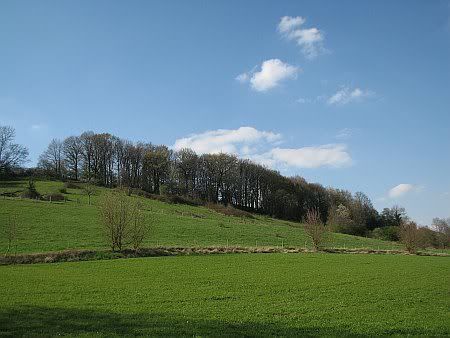 Landscape near Niederbachem