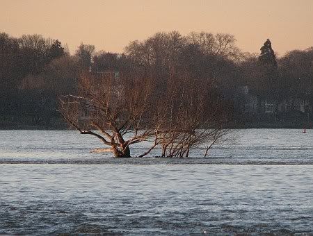 Bad Honnef River Rhine