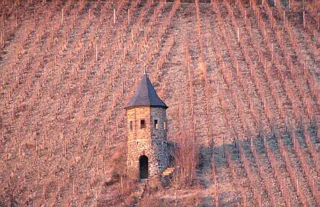 Tower at Drachenfels