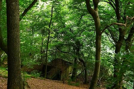 Forest near Obermaubach photo 06b-Waldtal_NE_Brandenberg_zps82c18e47.jpg