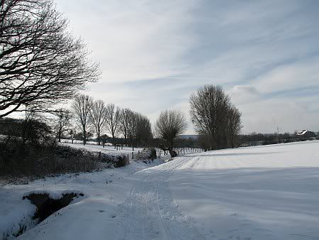 Snow Landscape