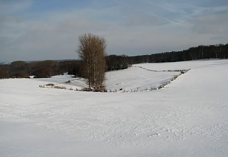 Snow Landscape