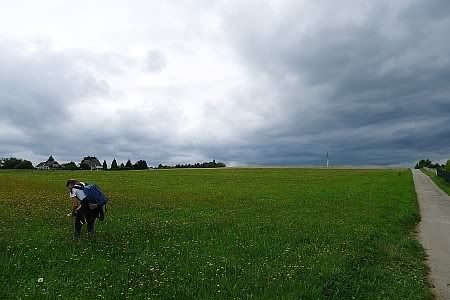 Near Brandenberg