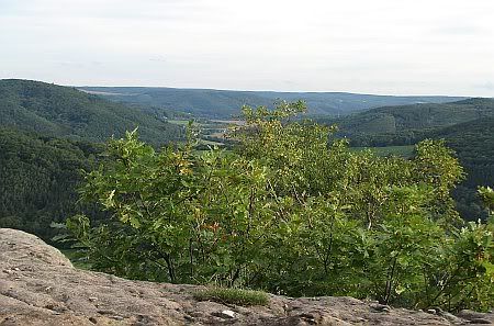 View Eugenienstein
