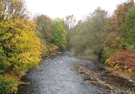 Wupper River east of Rheindorf