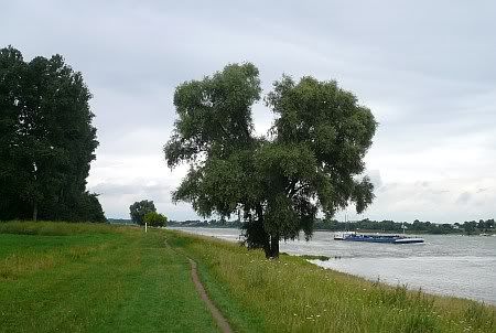 River Rhine south of Worringen