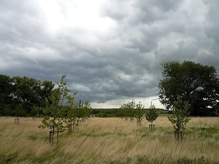 Landscape south of Rheinkassel