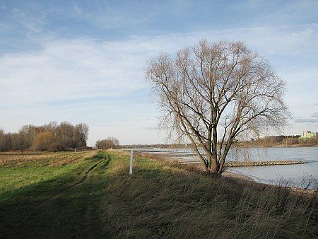 Meadow Rhine River Langel photo 91-Rheinaue_NW_Langel_zps9xkoxsz4.jpg