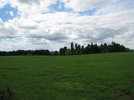 Landscape near Hubertushof