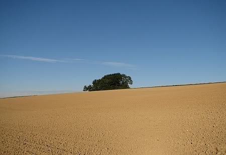 Landscape near Westum