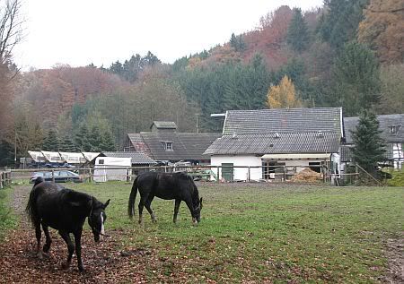 Gammersbacher Muehle