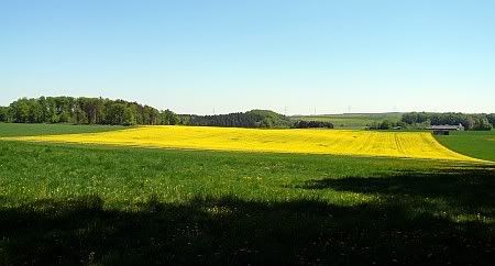 Landscape near Bahrhaus