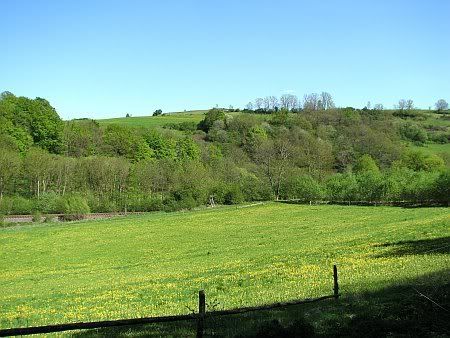 Urft Valley near Nettersheim