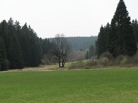 Perlenbach Valley