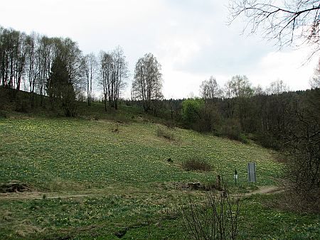 Perlenbach Valley
