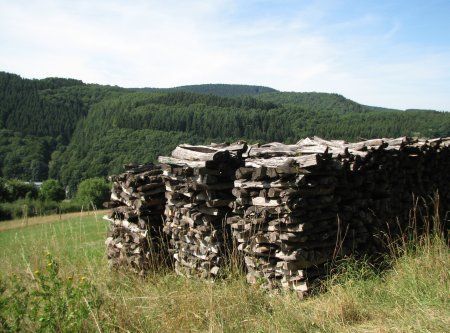Wood near Muerlenbach photo 47-Holzlagerung_E_Muerlenbach_zps2z8aziba.jpg